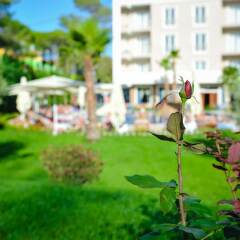 Отель Sandy Beach Resort фото 5