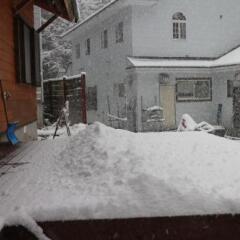 Отель Kamoshika cottage Hakuba Хакуба фото 3