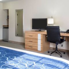 Отель Comfort Suites Seven Mile Beach Каймановы острова, Севен-Майл-Бич - отзывы, цены и фото номеров - забронировать отель Comfort Suites Seven Mile Beach онлайн удобства в номере