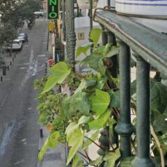 Отель Hostal San Antonio фото 2