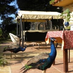 Отель B&B Villa San Marco Агридженто фото 3