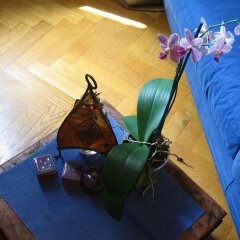 Отель Maria-Rosa Guesthouse спа