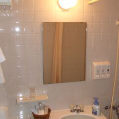 Hotel Lake Alster Alza Izumiotsu Матсубара ванная