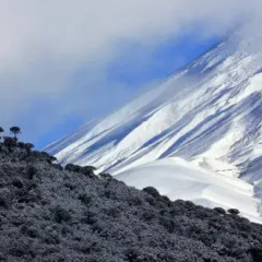 Отель Corralco Mountain & Ski Resort фото 5