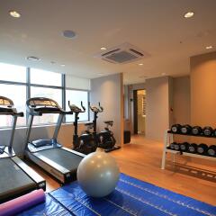 Отель Best Western Arirang Hill Dongdaemun фитнесс-зал