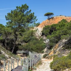 Отель Pine Cliffs Residence, a Luxury Collection Resort, Algarve Португалия, Албуфейра - отзывы, цены и фото номеров - забронировать отель Pine Cliffs Residence, a Luxury Collection Resort, Algarve онлайн фото 5