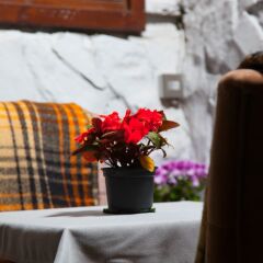 Отель Old Castle Boutique Hotel Азербайджан, Баку - отзывы, цены и фото номеров - забронировать отель Old Castle Boutique Hotel онлайн