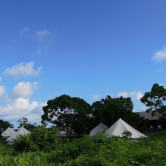 Pension Prussian Blue - Campsite in Miyakojima, Japan from 73$, photos, reviews - zenhotels.com photo 4