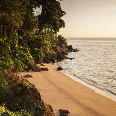 Floral Lux Hotel Monttra Pattaya Паттайя пляж фото 2