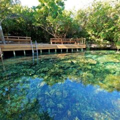 Отель Tortuga Bay Доминикана, Пунта Кана - отзывы, цены и фото номеров - забронировать отель Tortuga Bay онлайн приотельная территория фото 2