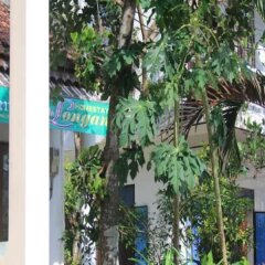 Отель Longan Homestay Вьетнам, Хойан - отзывы, цены и фото номеров - забронировать отель Longan Homestay онлайн фото 6