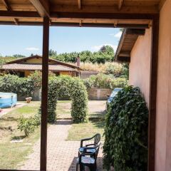 Отель Olive Tree Hill Дзагароло комната для гостей фото 5
