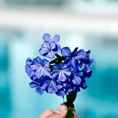 Sky Senses Hotel фото 3