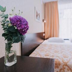 Гостиница Невский Бриз 3* Стандартный номер с двуспальной кроватью фото 8