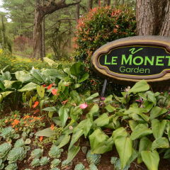 Отель Le Monet Hotel Филиппины, Багуйо - отзывы, цены и фото номеров - забронировать отель Le Monet Hotel онлайн