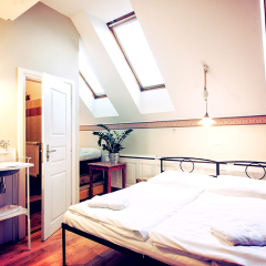 Sir Toby's Hostel детские мероприятия фото 2