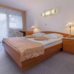 Отель Garni Hotel Miklic Словения, Краньска-Гора - отзывы, цены и фото номеров - забронировать отель Garni Hotel Miklic онлайн комната для гостей фото 5