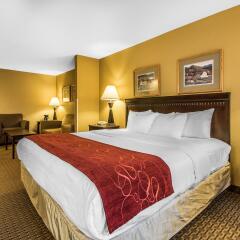 Comfort Suites Wisconsin Dells Area In Wisconsin Dells United