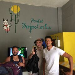Отель Baja's Cactus Hostel Мексика, Кабо-Сан-Лукас - отзывы, цены и фото номеров - забронировать отель Baja's Cactus Hostel онлайн сауна