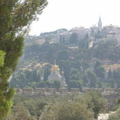 Jerusalem Panorama Hotel Израиль, Иерусалим - 5 отзывов об отеле, цены и фото номеров - забронировать отель Jerusalem Panorama Hotel онлайн приотельная территория