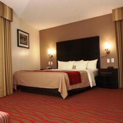 Отель Comfort Inn Los Angeles near Hollywood США, Лос-Анджелес - отзывы, цены и фото номеров - забронировать отель Comfort Inn Los Angeles near Hollywood онлайн комната для гостей фото 5