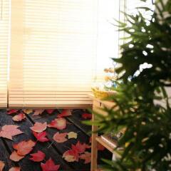 Отель Bamboo Bed & Breakfast
