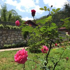 Отель Sapa Garden Bed and Breakfast Вьетнам, Шапа - отзывы, цены и фото номеров - забронировать отель Sapa Garden Bed and Breakfast онлайн детские мероприятия