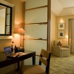 Отель The Grand New Delhi Индия, Нью-Дели - отзывы, цены и фото номеров - забронировать отель The Grand New Delhi онлайн удобства в номере