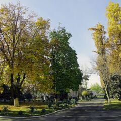 Отель Residence Park Hotel Узбекистан, Ташкент - отзывы, цены и фото номеров - забронировать отель Residence Park Hotel онлайн фото 3