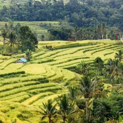 Отель The Seminyak Beach Resort & Spa спортивное сооружение