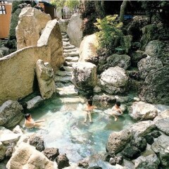 Отель Irodoriyukashiki Hana to Hana Япония, Никко - отзывы, цены и фото номеров - забронировать отель Irodoriyukashiki Hana to Hana онлайн бассейн фото 2