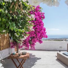 Отель Euphoria Suites Греция, Остров Санторини - отзывы, цены и фото номеров - забронировать отель Euphoria Suites онлайн бассейн