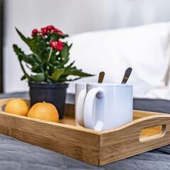 Отель RigaHome Grecinieku Латвия, Рига - отзывы, цены и фото номеров - забронировать отель RigaHome Grecinieku онлайн в номере фото 2