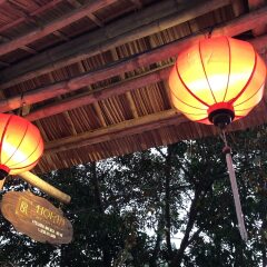 Отель Hoi An Silk River Villa развлечения