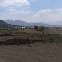 Zan-Seyoum Hotel Lalibela пляж