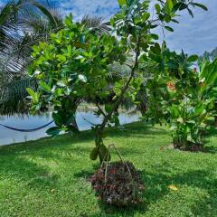 Отель Water Coconut Boutique Villas фото 11
