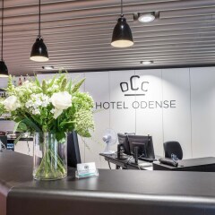 Hotel Odense интерьер отеля фото 2