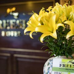 Freesia Hotel гостиничный бар