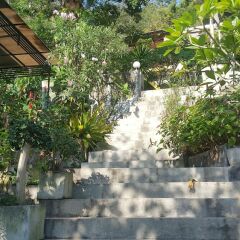 Отель Greenery Resort Koh Tao фото 21