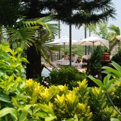 Отель Pho Hoi Riverside Resort Хойан фото 3