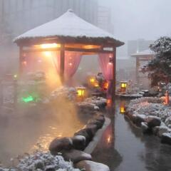 Отель Scholars Resorts Suzhou бассейн фото 3