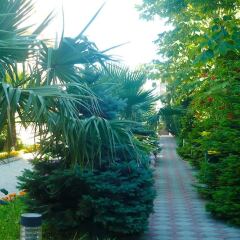 Отель Гостиный Комплекс Holiday Сочи фото 7