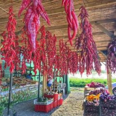 Отель Sweet Home B&B Италия, Сан-Фердинандо - отзывы, цены и фото номеров - забронировать отель Sweet Home B&B онлайн детские мероприятия