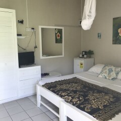 Keegan's Beachside in Bequia, St. Vincent and the Grenadines from 183$, photos, reviews - zenhotels.com room amenities photo 2