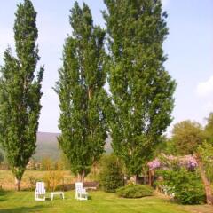 Отель B&B Locanda Della Luna Монтоне фото 19