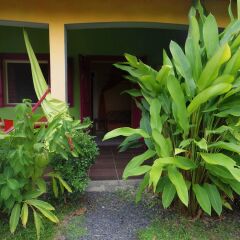 Отель Bungalow With one Bedroom in Guadeloupe, With Pool Access, Enclosed Ga фото 3