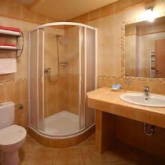 Hotel Paganini Мельник ванная