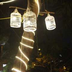 Отель Hanoi Lake View Homestay гостиничный бар