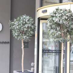 Hotel El Greco Салоники интерьер отеля фото 3
