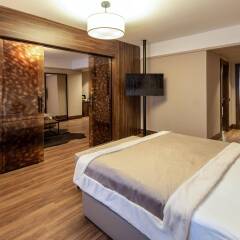 Dorukkaya Ski & Mountain Resort Турция, Болу - отзывы, цены и фото номеров - забронировать отель Dorukkaya Ski & Mountain Resort онлайн удобства в номере